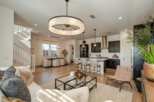 modern living room and kitchen