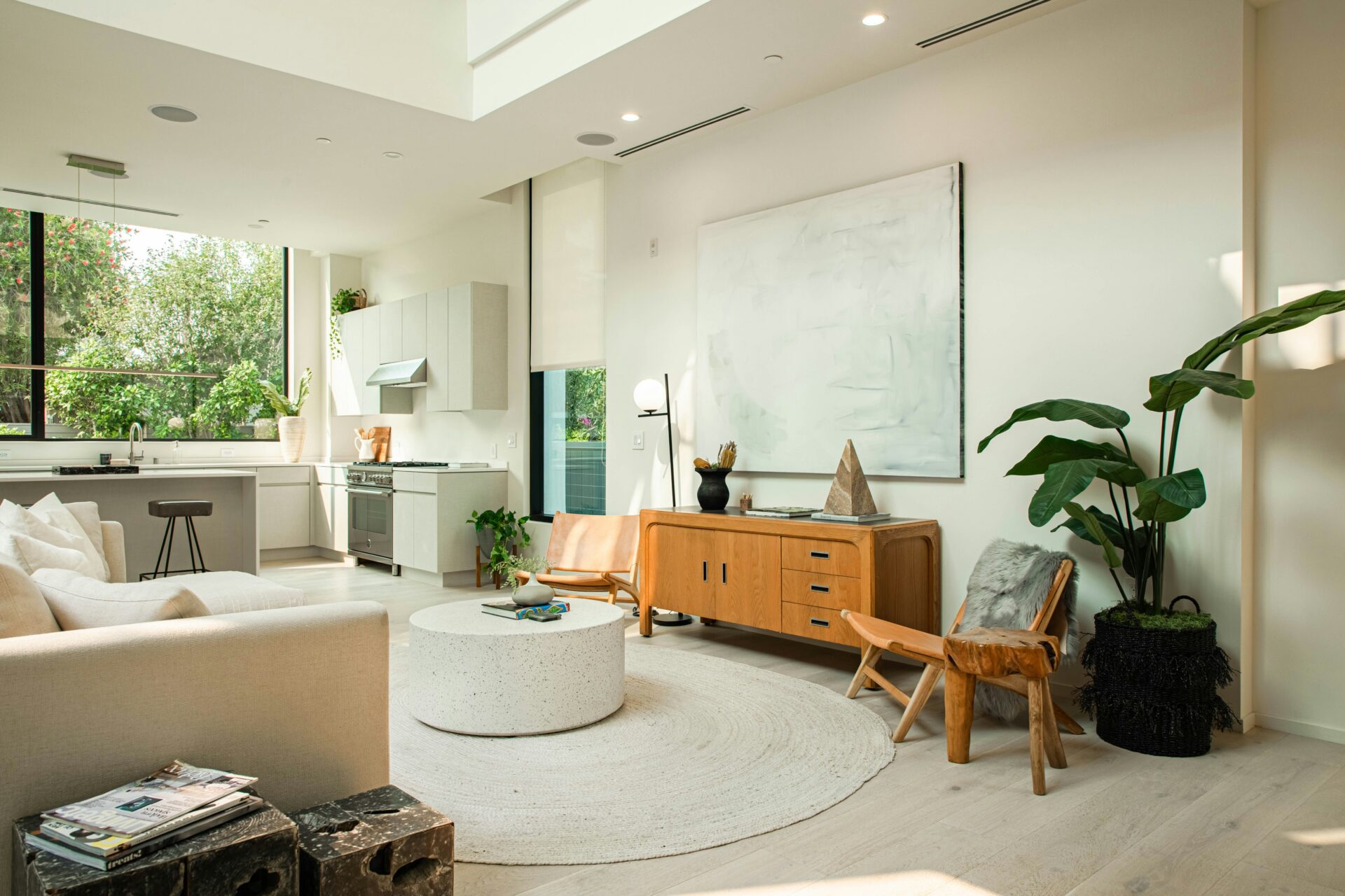 A living space with a plant and wooden furniture